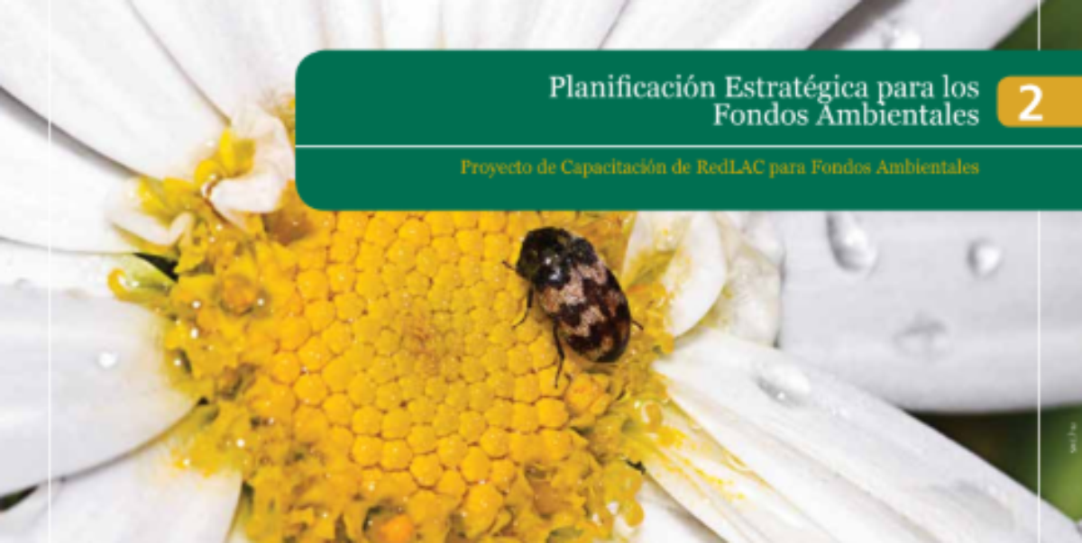 Imagen destacada