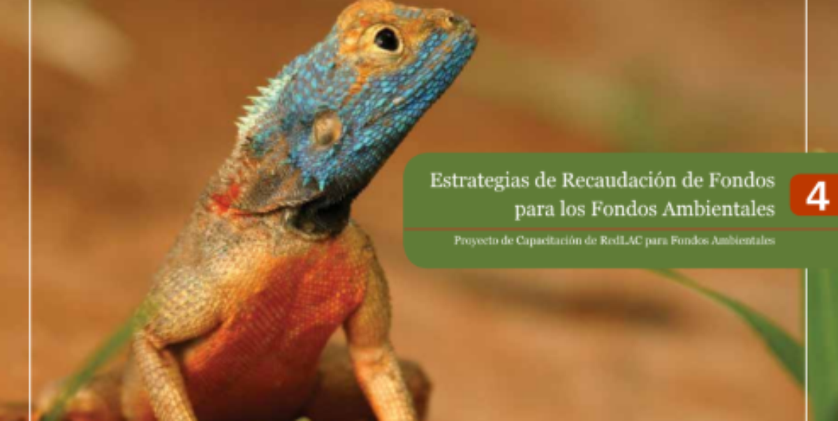 Imagen destacada