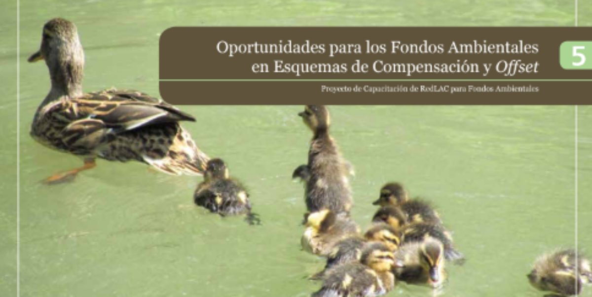 Imagen destacada