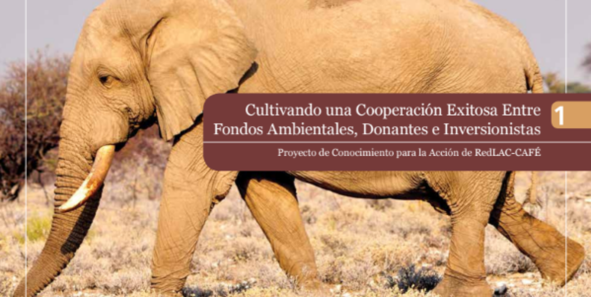 Imagen destacada