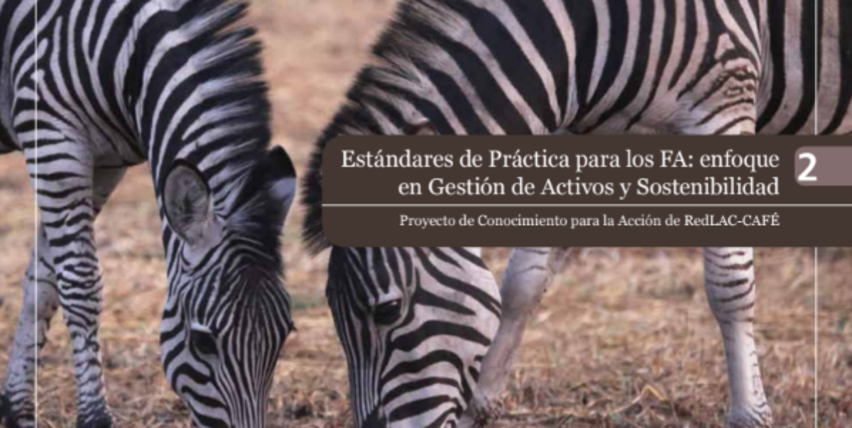 Imagen destacada